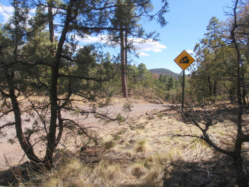 The beginning of the descent into Black Canyon.